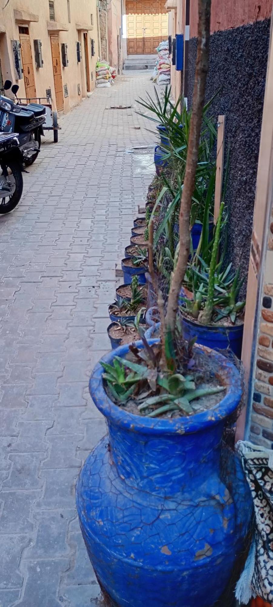 Dar Aziz Apartment Marrakesh Bagian luar foto